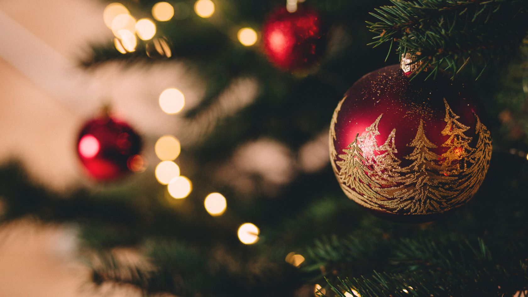 5 idées de sapins de Noël plus écologiques